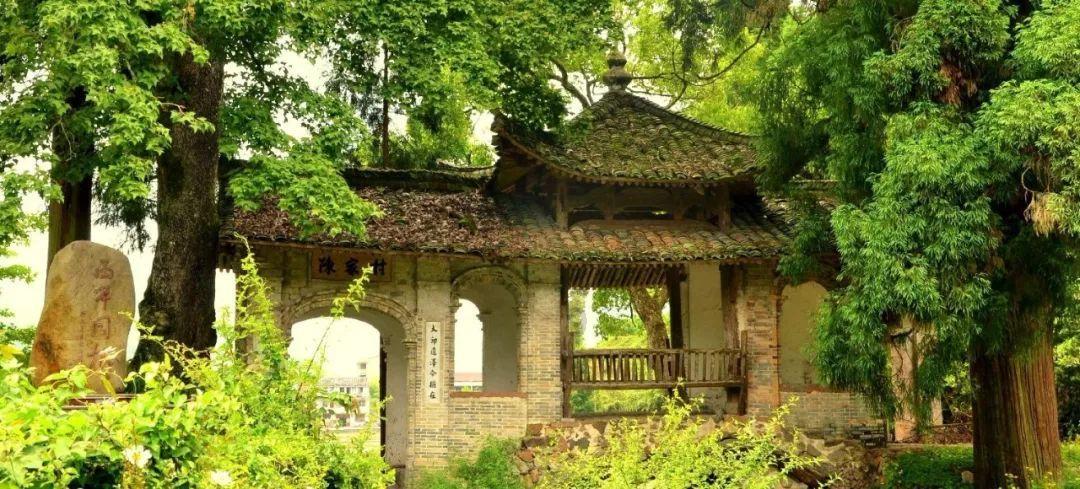 臧天朔的朋友是什么调?游戏画面