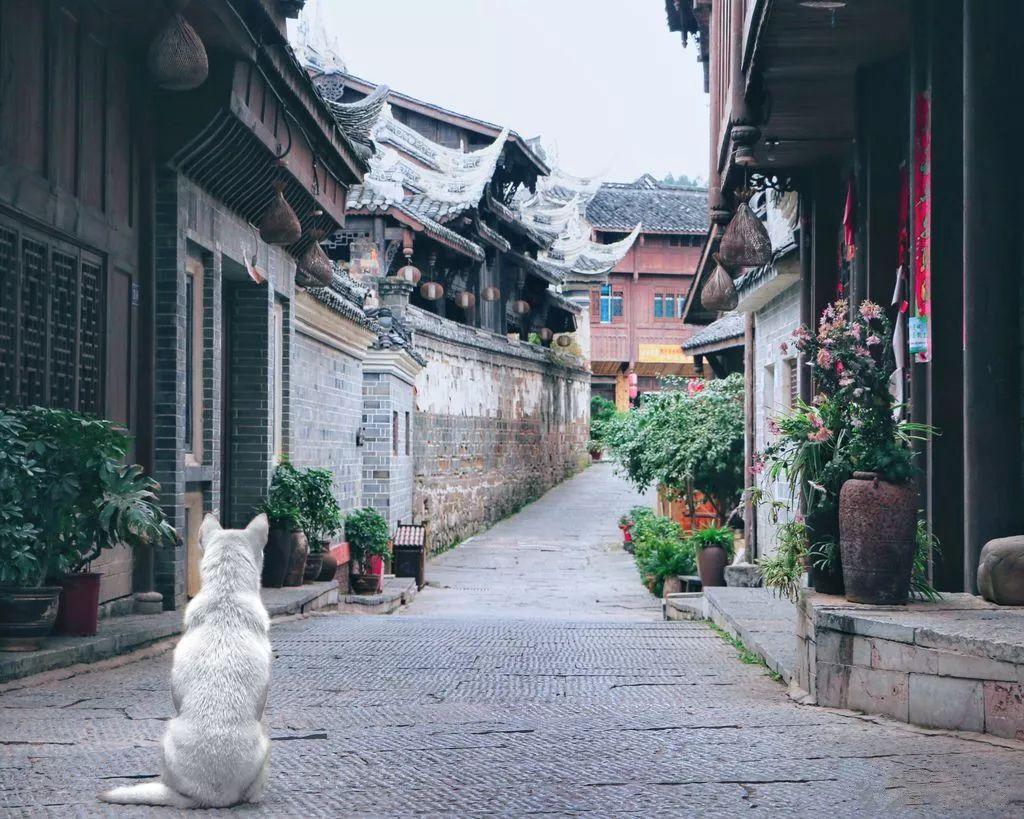 吃自助餐时，聪明人从不拿4种食物，服务员：不是吃货就是行家！